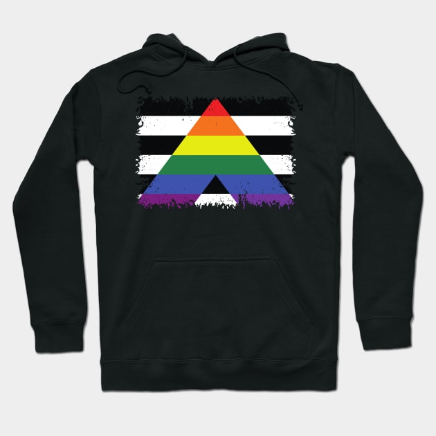 LGBT and Heterosexual flag Hoodie by Hinode